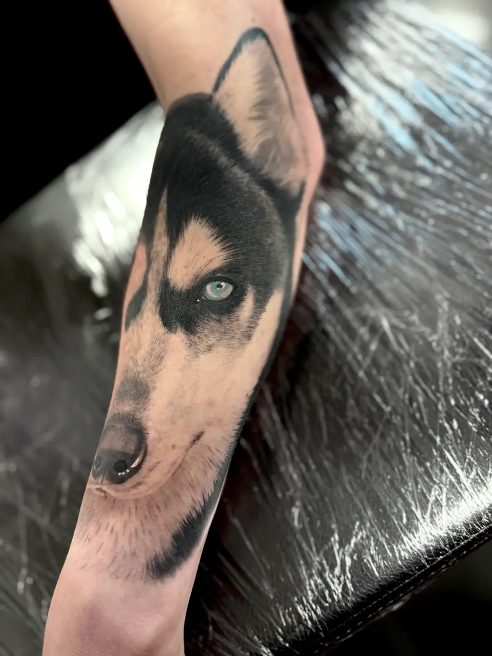 Tatuaje de un perro husky en el antebrazo