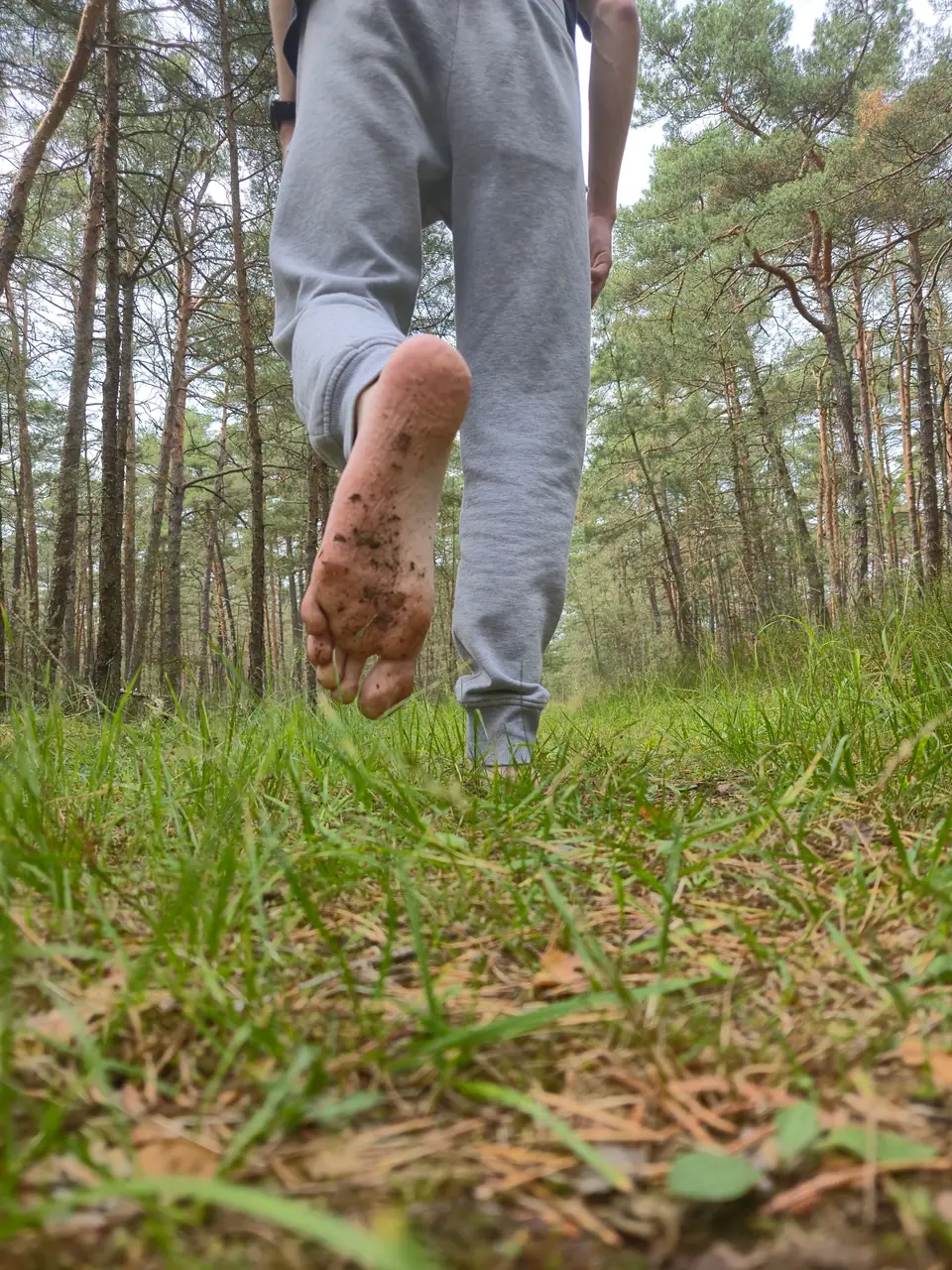 Planta de un pie descalzo, apoyada en el pasto durante una caminata